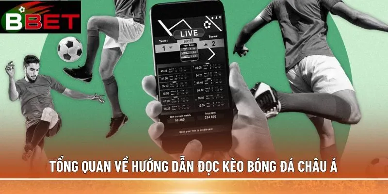 Tổng quan về hướng dẫn đọc kèo bóng đá châu Á